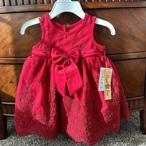 NWT fancy holiday dress ! purple rose brand 6/9M